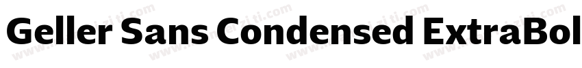 Geller Sans Condensed ExtraBold字体转换